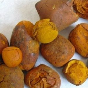 BUY COW GALLSTONES ONLINE